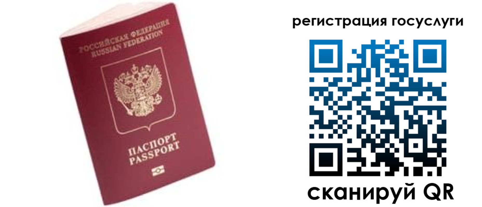прописка поиск в Липецкая области
